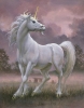 Коне13