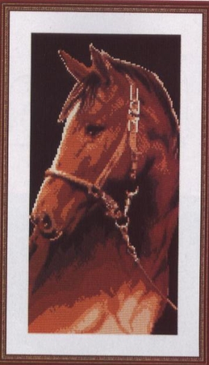 Коне24