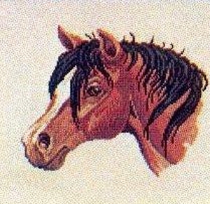 Коне25