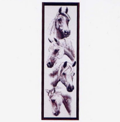 Коне48