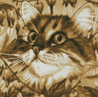 Котки0