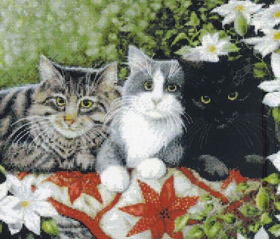 Котки1