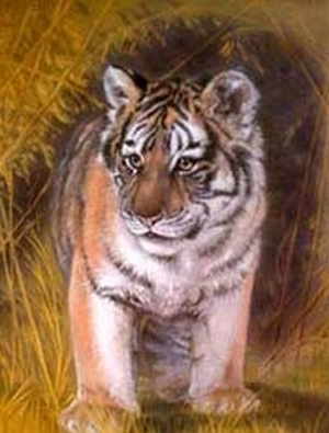 Котки10
