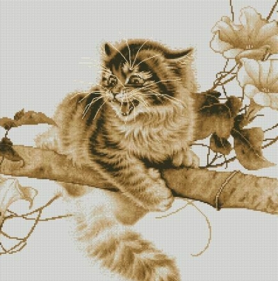 Котки18