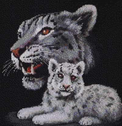 Котки2