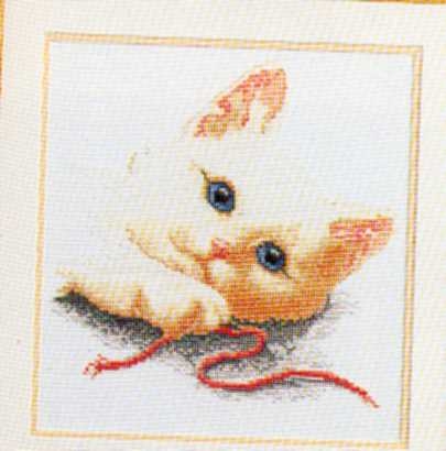 Котки21