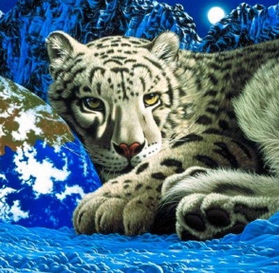 Котки24