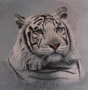 Котки26