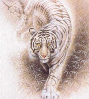 Котки29