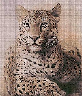 Котки3