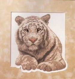 Котки30