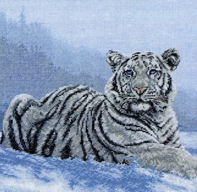 Котки31