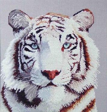 Котки33