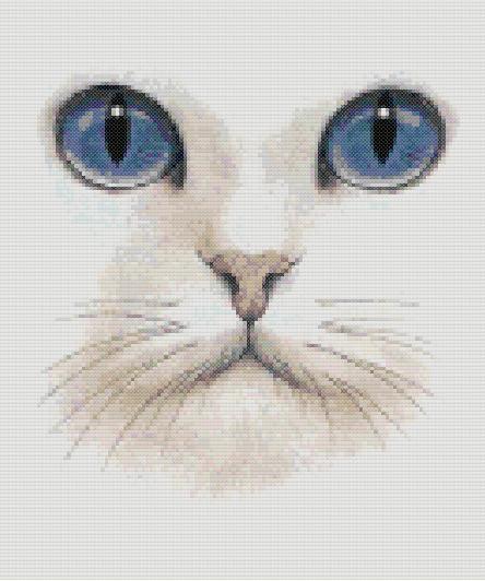 Котки34