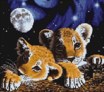Котки39