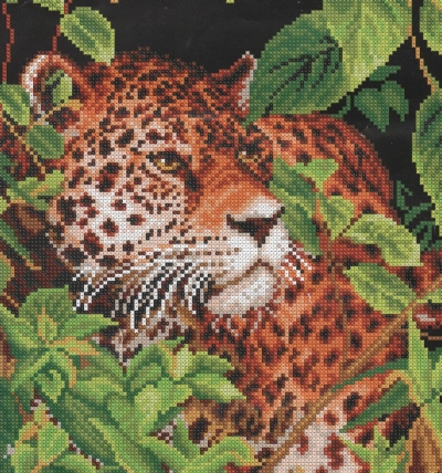Котки40