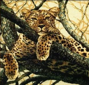 Котки45