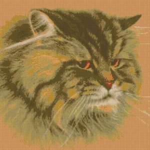 Котки48
