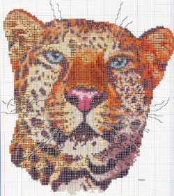 Котки49