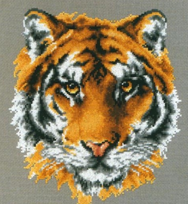 Котки52