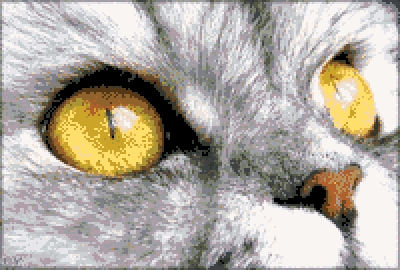 Котки54