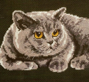 Котки55