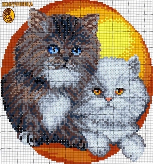 Котки60